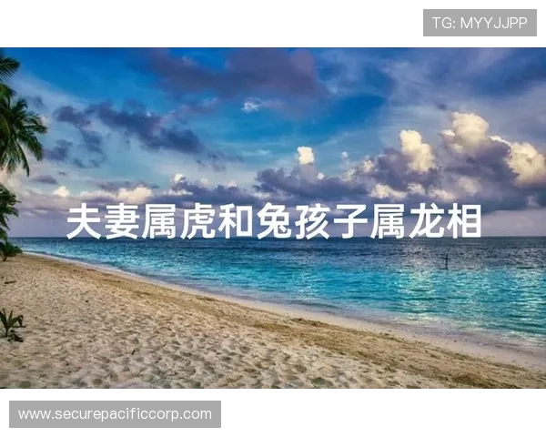 属龙属虎的最佳相处方式：提升彼此理解与信任，构建稳固幸福的家庭生活指南